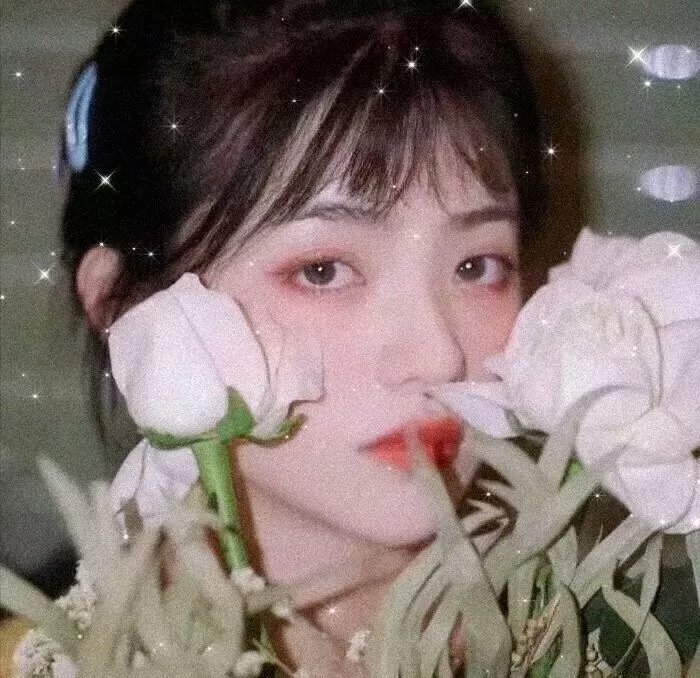 青春狂恋